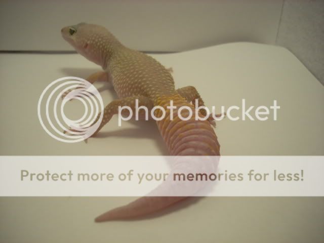 DSCN1332.jpg