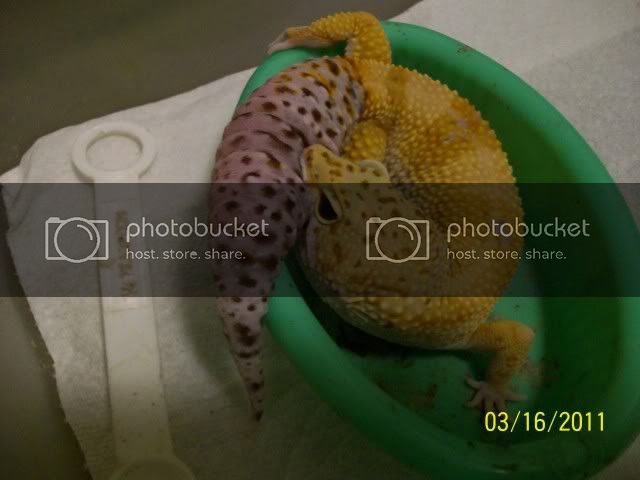 Picture003.jpg