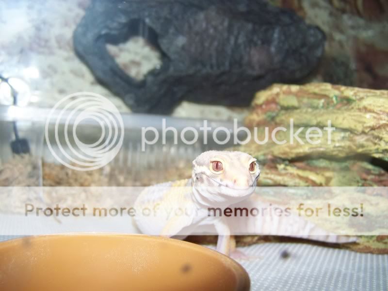 100_5279.jpg