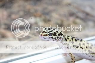 IMG_1187.jpg