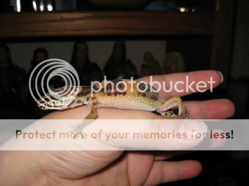 04192009005-1.jpg