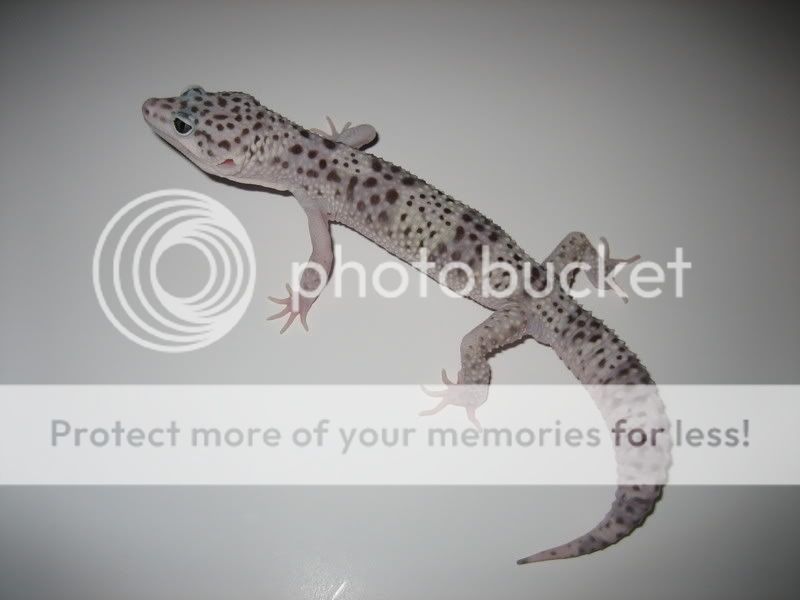 IMG_2261.jpg