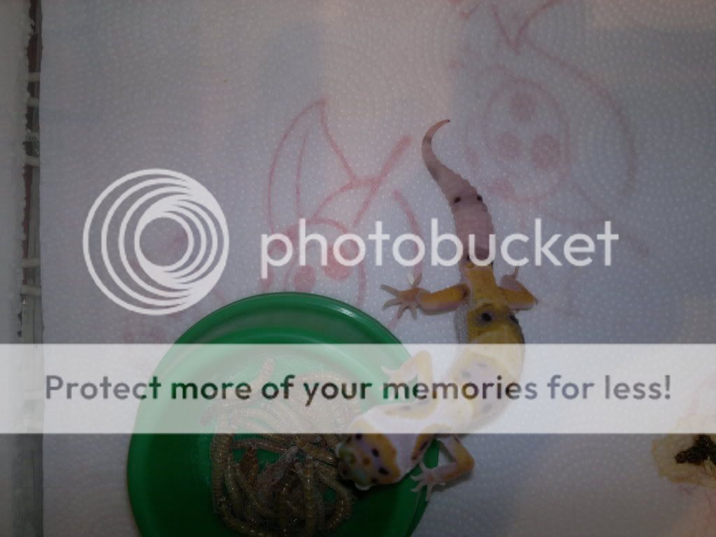14-12-2011.jpg