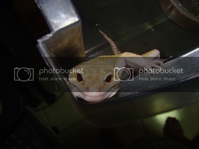 DSC00070.jpg