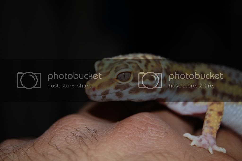 DSC_0088.jpg