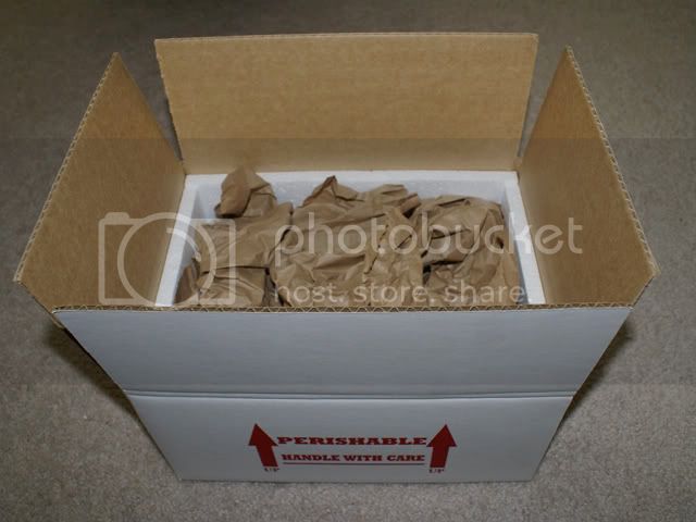 packingleos1.jpg
