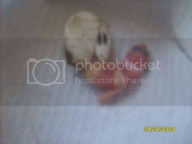 Picture266.jpg