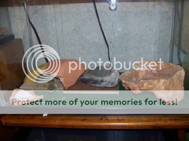 100_2536.jpg