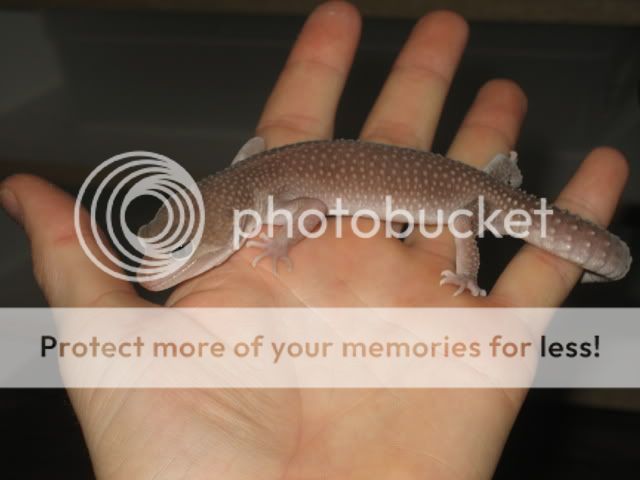 april011.jpg