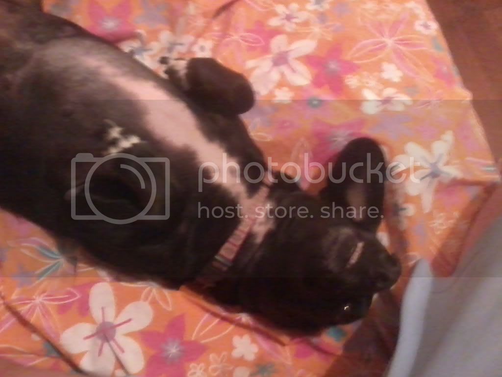 Photo0007.jpg