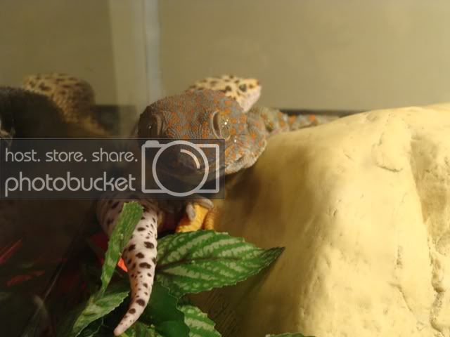 DSC00731small.jpg