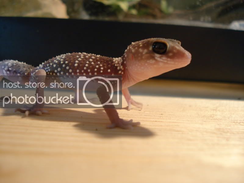 cutie001.jpg
