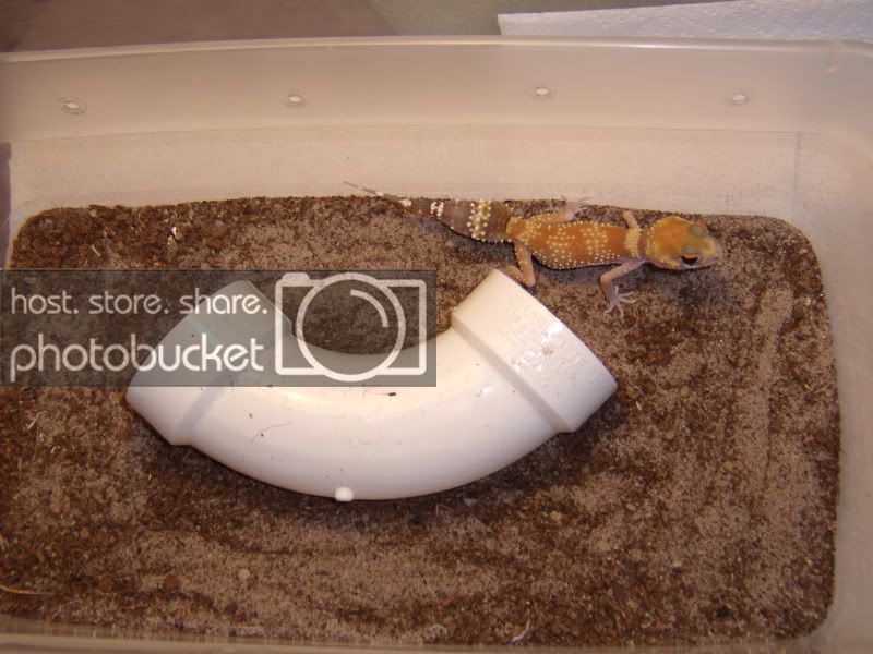 GEDC1057.jpg