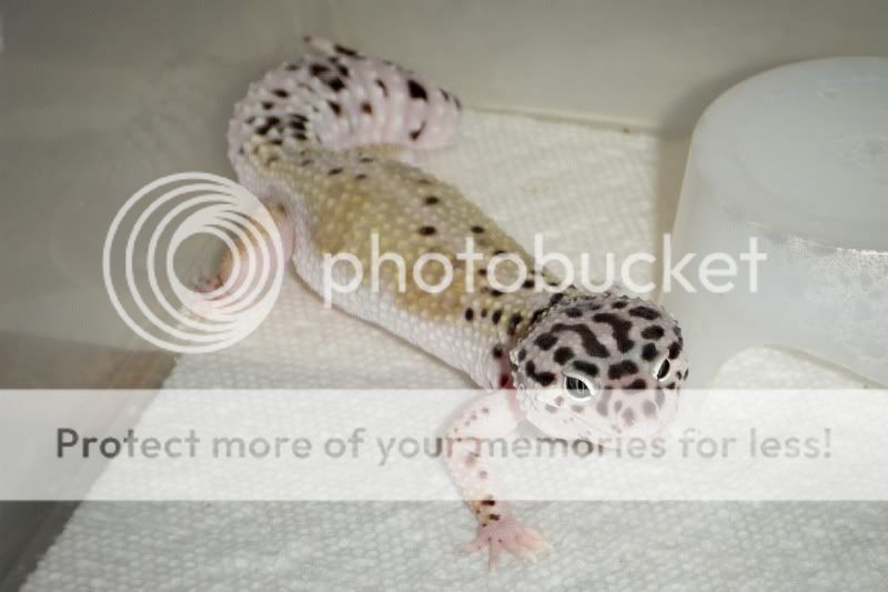 DSCF8077.jpg