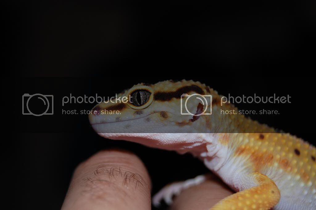 DSC_0112.jpg