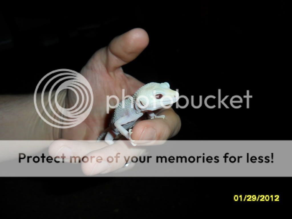 Picture875.jpg