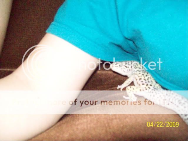 100_1720.jpg