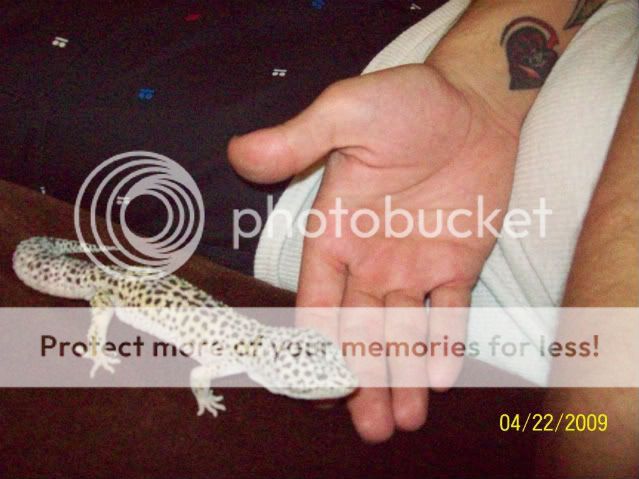100_1715.jpg