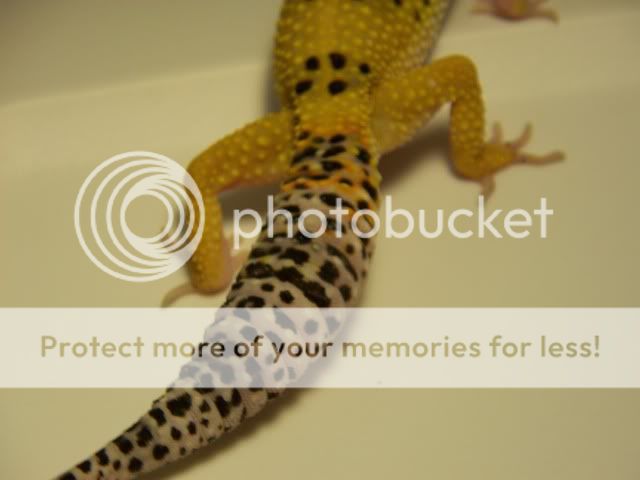 100_2052.jpg
