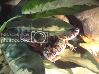 DSC00535.jpg