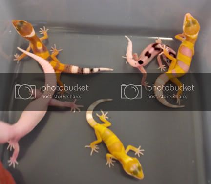 Group_NoFlash1.jpg
