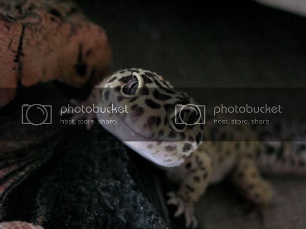 marly_2903_01.jpg