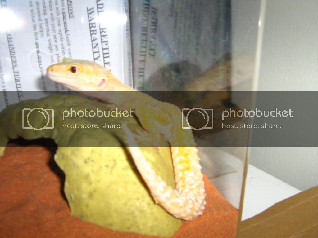 IMG_0827.jpg