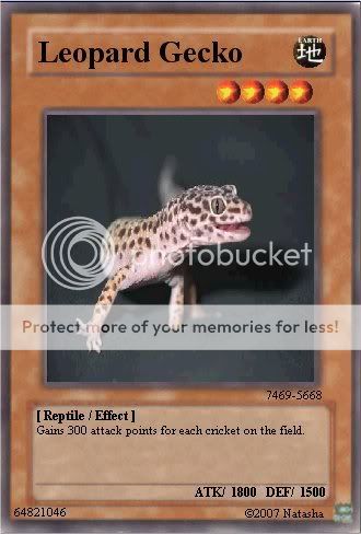 leopardgeckocard.jpg