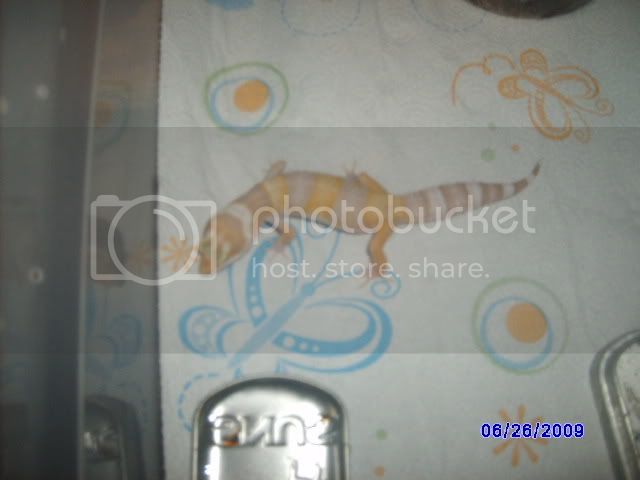 Picture689.jpg