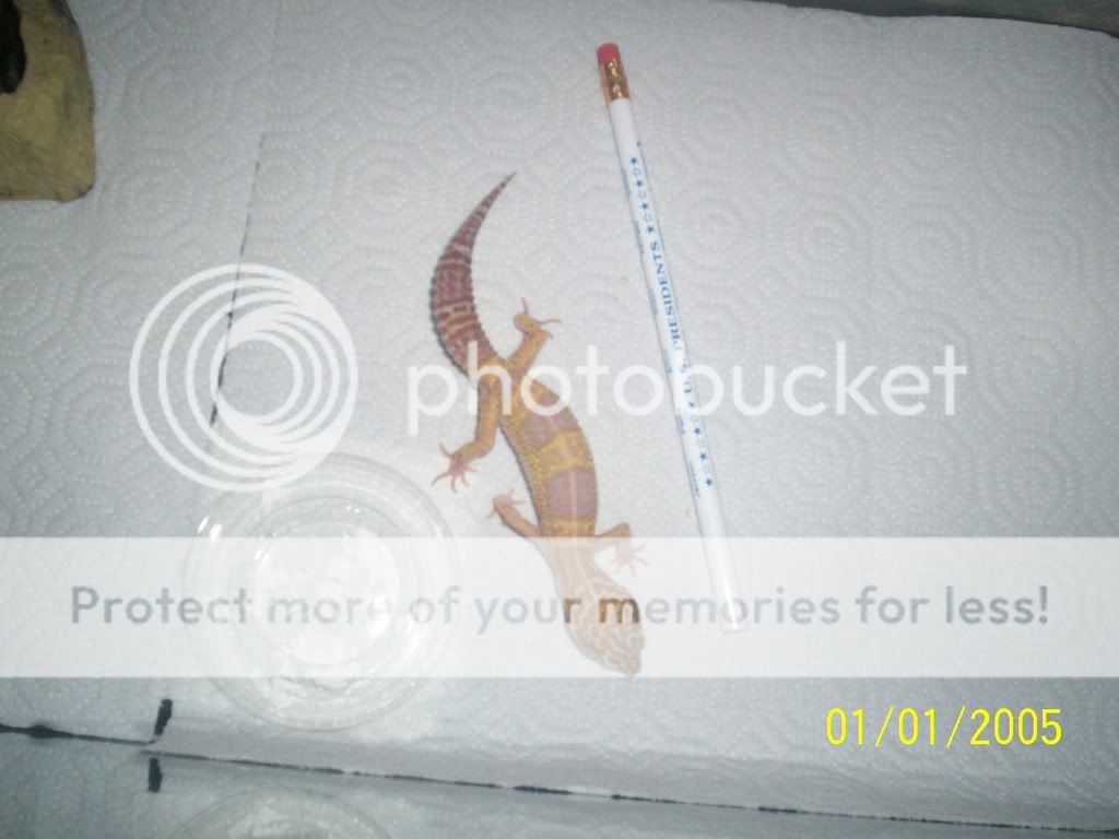 102_1762.jpg