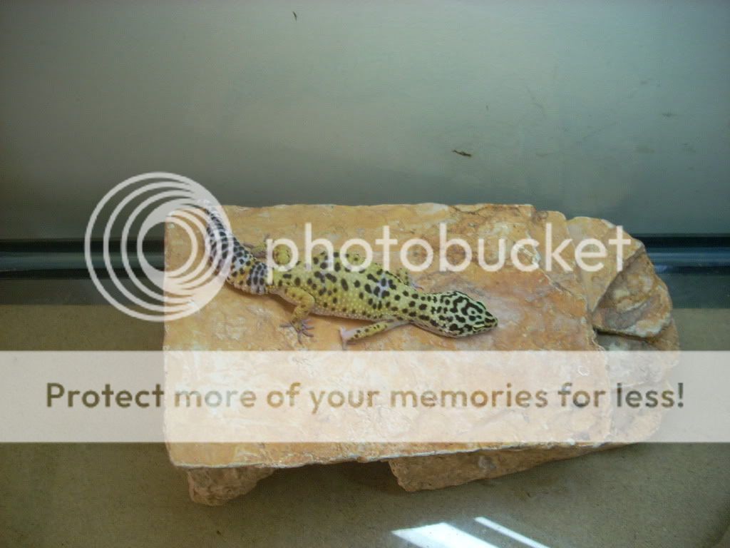 DSCN0050.jpg