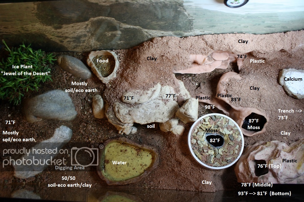 topview_detailed_zpsb55f9eb1.jpg