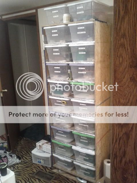 IMG_20111125_172104.jpg