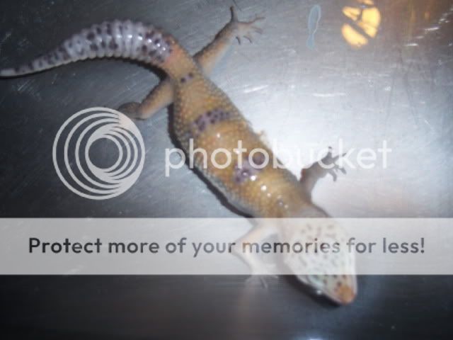 100_1538.jpg