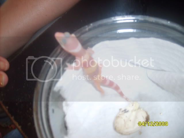 Picture270.jpg