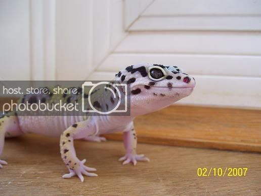 sup.jpg