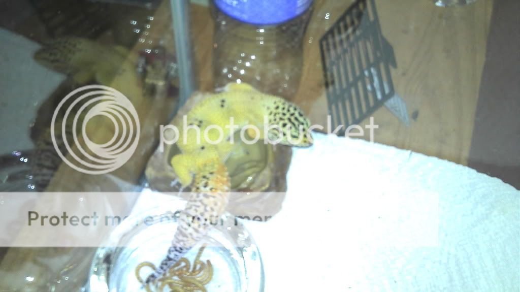 2012-07-08_22-19-28_243.jpg