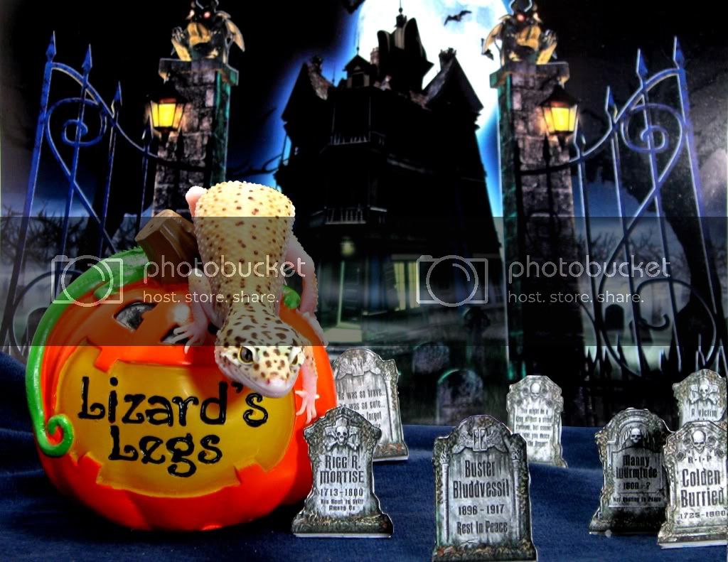 October010-2-edit2.jpg