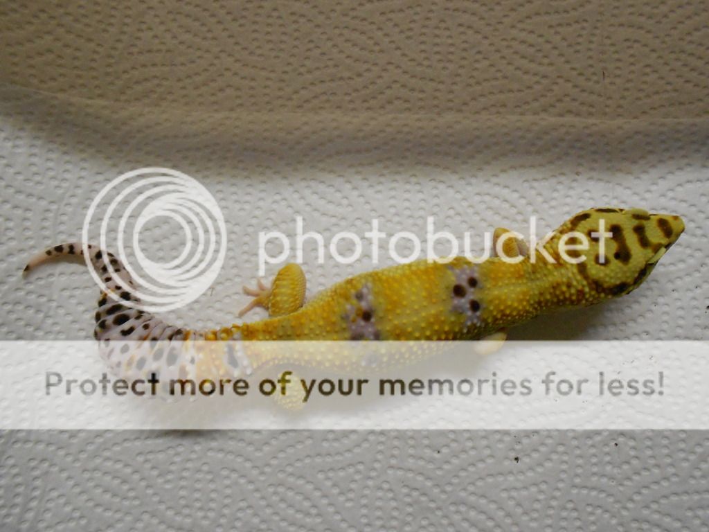 DSCN3881.jpg