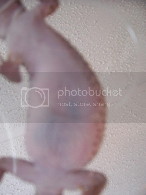 100_1744.jpg