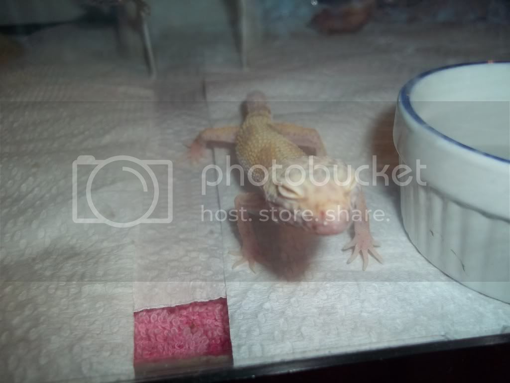 100_0519.jpg