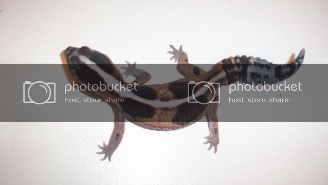 100_1724.jpg
