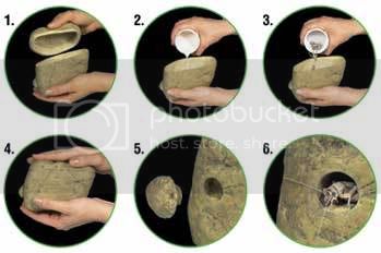 feeding_rock_use.jpg
