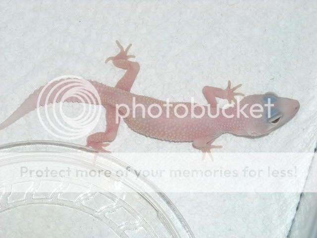DSCN2674.jpg