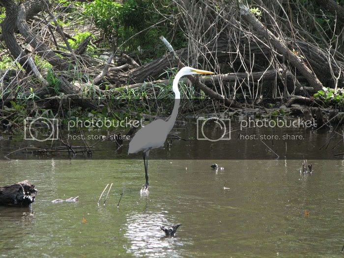 greategret.jpg
