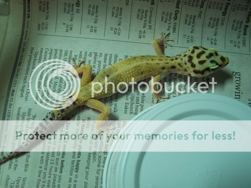 100_5575.jpg