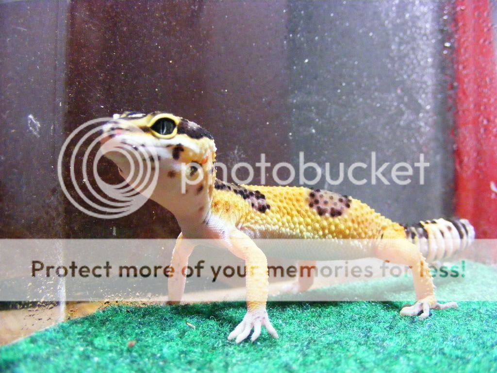 DSCF3033.jpg