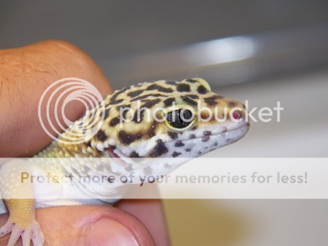 100_2061.jpg