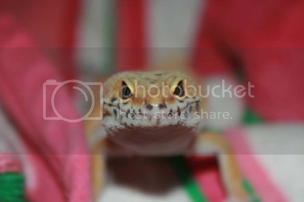 photography380.jpg