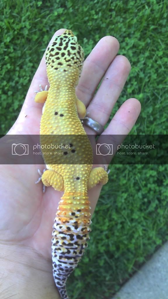 2012-08-19_19-39-00_814.jpg
